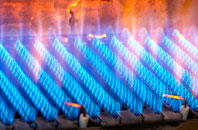 Sydenham gas fired boilers
